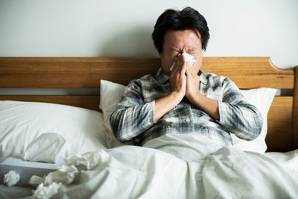 Hay Fever vs. Cold Symptoms How to Tell the Difference